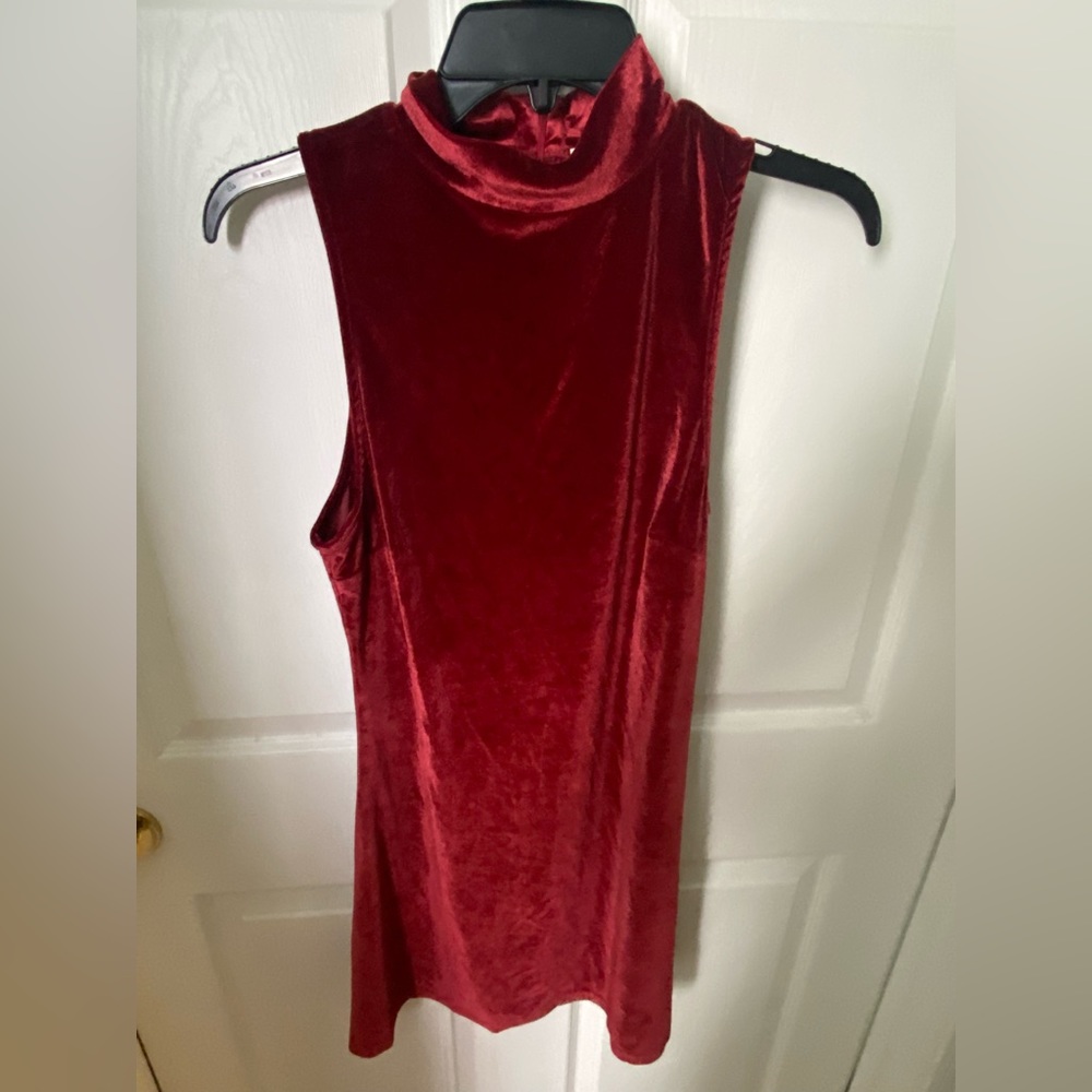 Maroon Mock Neck Velvet Dress